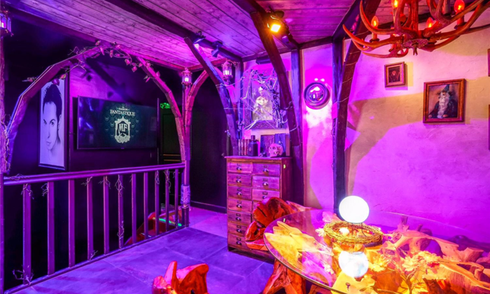 La Maison Fantastique : Salle Atypique Pot de Départ Jeux Vidéo After Work Shooting Cosplay Cinéma 99 €