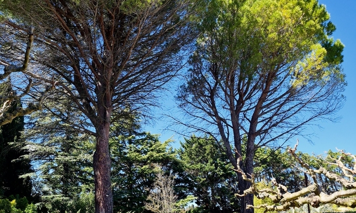 Domaine Laurade €150