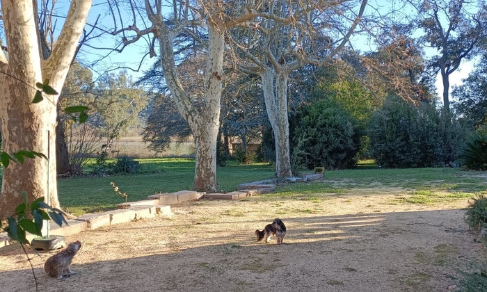 The Gardens of the Domaine de la Mayonnette €60