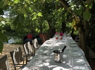 Rental of a garden with trees €70