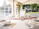 Luxury villa with pool & sauna ideal for an unforgettable event €400